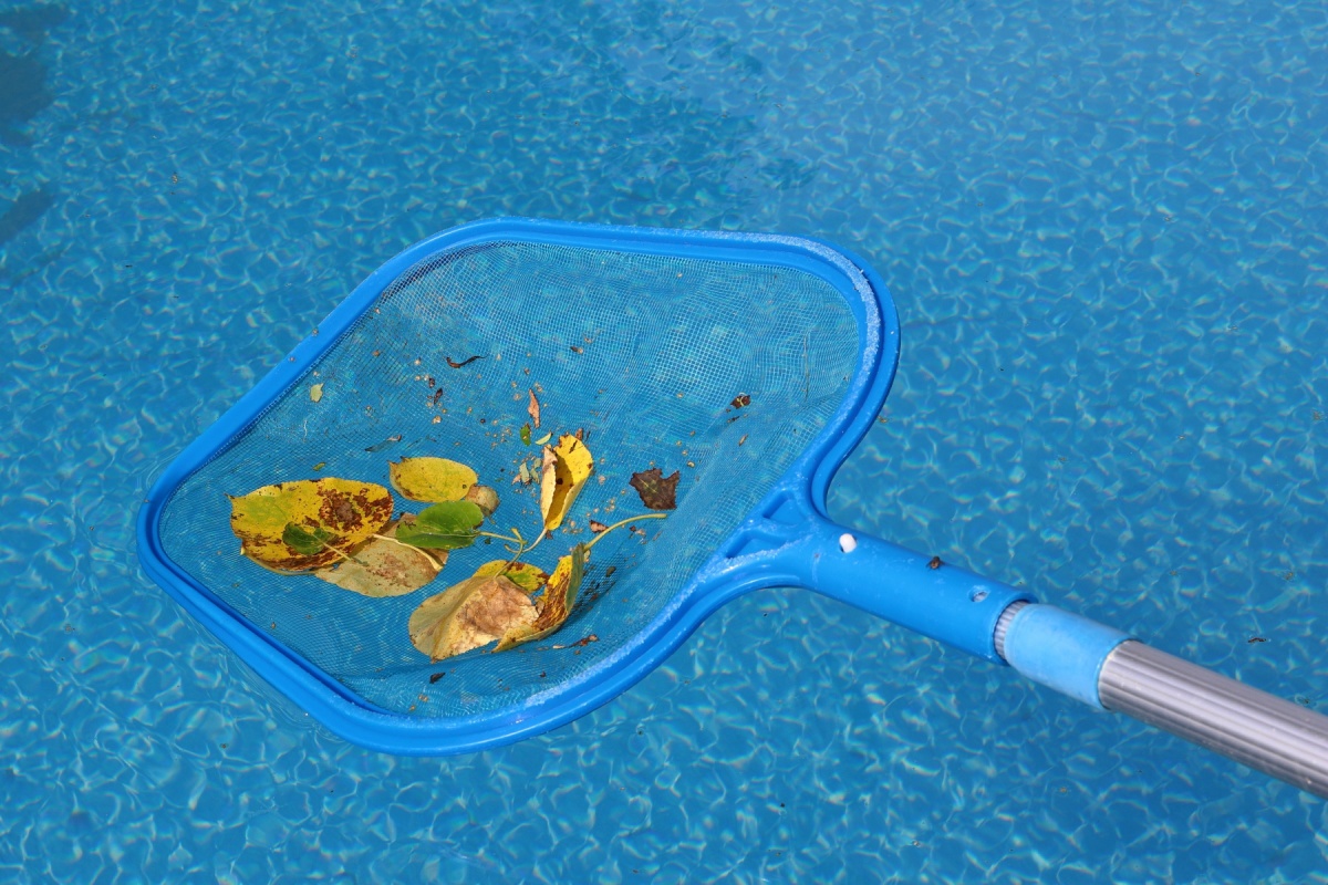 a pool skimmer collecting leaves from the surface of a pool during pool winterization